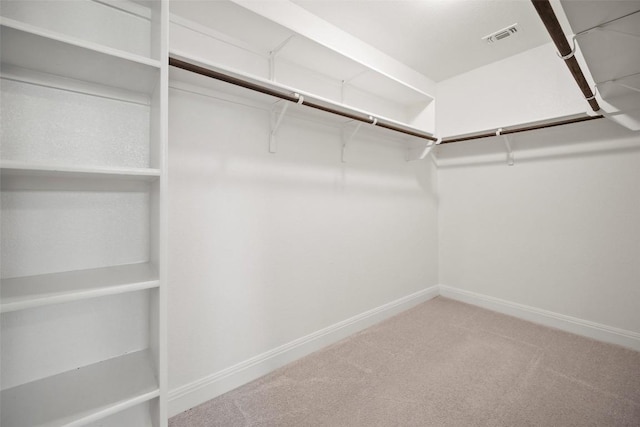 1051 Kenney Fort Xing Unit 51, Round Rock, TX 78665 - photo 13