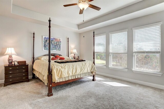114 Angela Rose Ct, Austin, TX 78737 - bedroom featuring light carpet, baseboards, a tray ceiling, and a ceiling fan