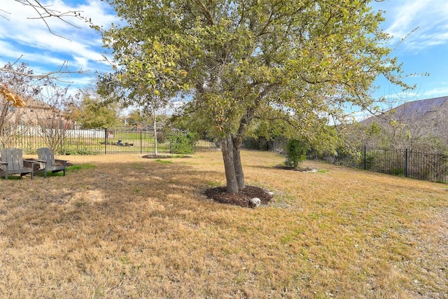 114 Angela Rose Ct, Austin, TX 78737 - view of yard