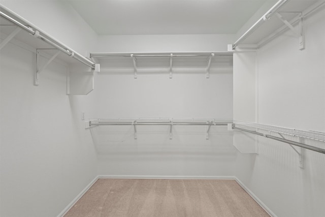 316 Barrington Farm Ct, Georgetown, TX 78633 - spacious closet with light colored carpet