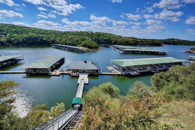 aerial view featuring a forest view and a water view