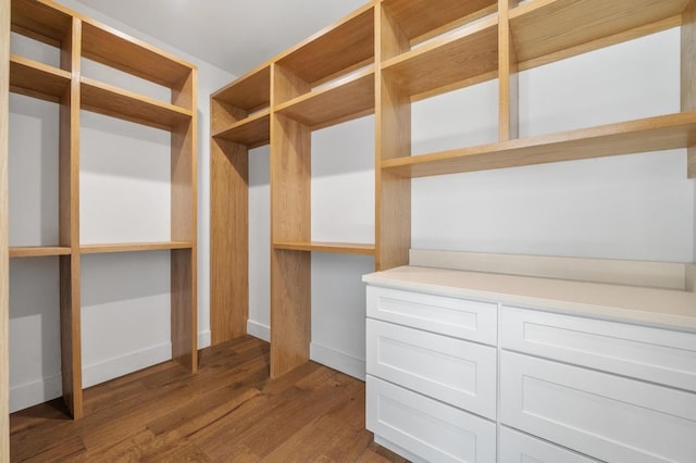 walk in closet with dark wood-style flooring