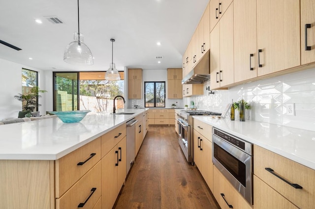 1608 Dexter St, Austin, TX 78704 - kitchen featuring appliances with stainless steel finishes, light brown cabinets, under cabinet range hood, tasteful backsplash, and recessed lighting