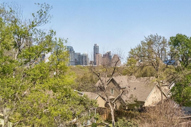 1608 Dexter St, Austin, TX 78704 - view of city skyline