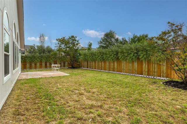 view of yard with a patio and a fenced backyard