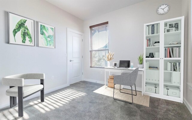 1128 Gunter St Unit B, Austin, TX 78702 - office with carpet and baseboards