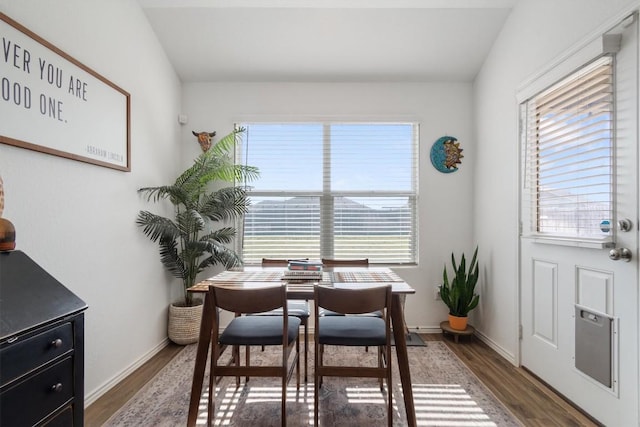 dining room with a wealth of natural light, baseboards, and wood finished floors