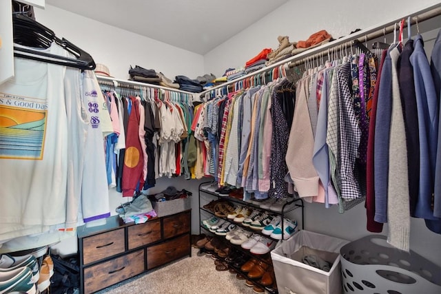 walk in closet with carpet floors