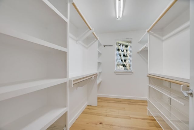 walk in closet with wood finished floors