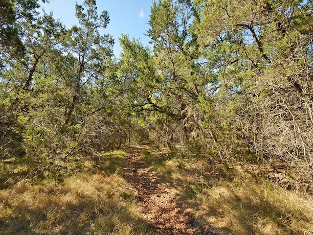 view of local wilderness with a wooded view