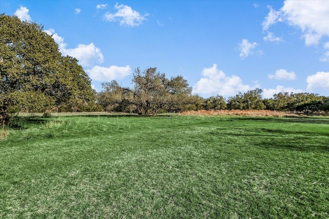 view of yard featuring a rural view