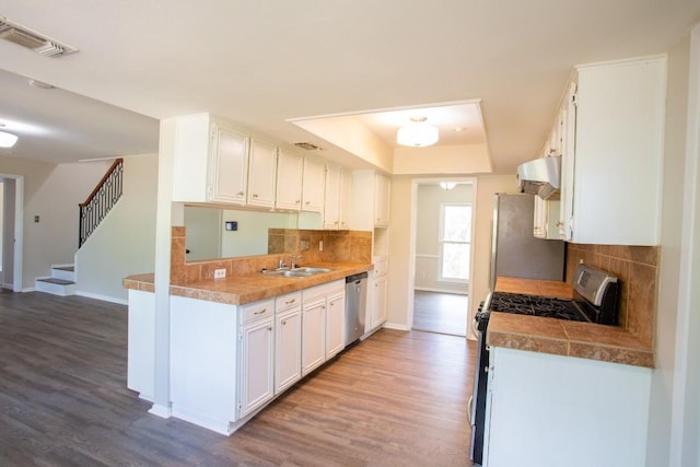 kitchen with visible vents, range hood, appliances with stainless steel finishes, a raised ceiling, and a sink