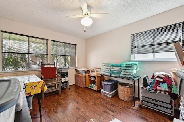 office with a textured ceiling, wood finished floors, and ceiling fan