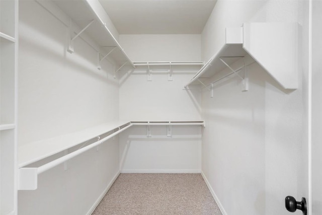 walk in closet with carpet