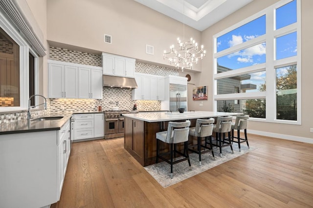 316 Duckhorn Pass, Austin, TX 78738 - kitchen with premium appliances, a high ceiling, under cabinet range hood, light wood finished floors, and a breakfast bar area