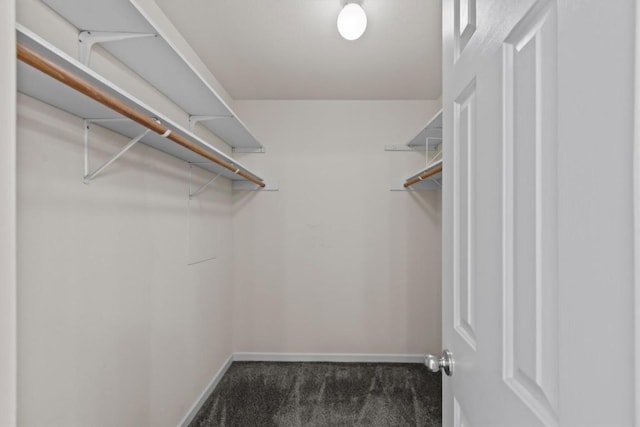 25048 River Rd, Spicewood, TX 78669 - spacious closet featuring carpet