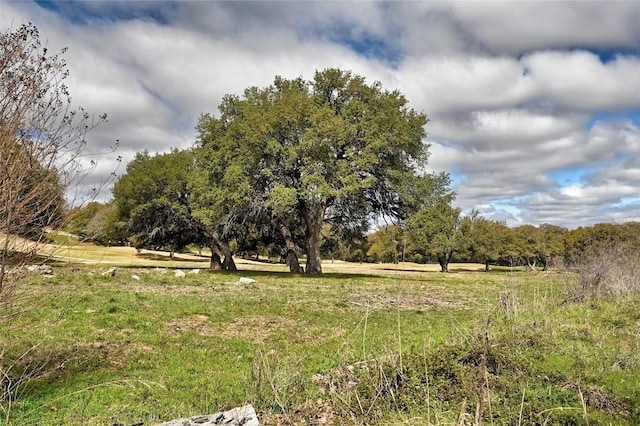 view of nature