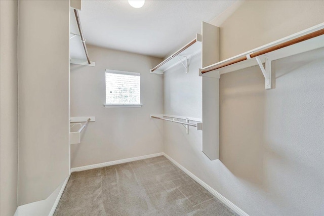 141 Silo St, San Marcos, TX 78666 - photo 22