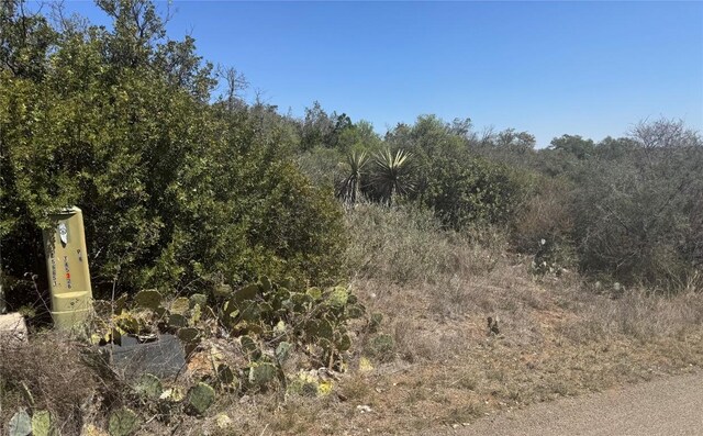 LOT56 War Bonnet Rdg, Kingsland, TX 78639 - photo 3