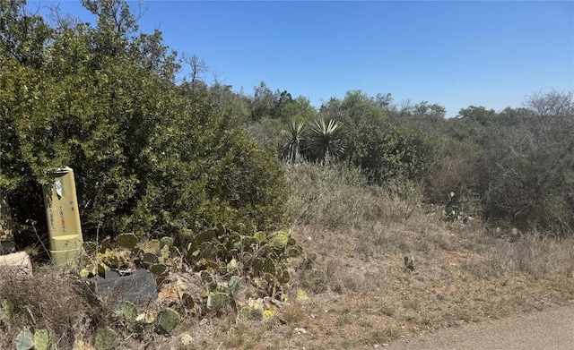 LOT56 War Bonnet Rdg, Kingsland, TX 78639 - photo 4