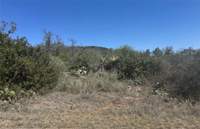 LOT56 War Bonnet Rdg, Kingsland, TX 78639 - photo 5