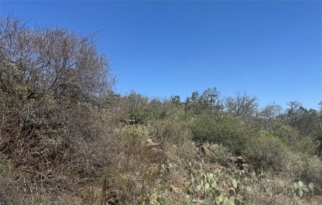 LOT56 War Bonnet Rdg, Kingsland, TX 78639 - photo 7