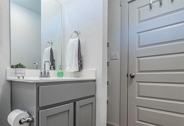 208 Greens Bayou Trl, Hutto, TX 78634 - bathroom featuring a textured wall and vanity