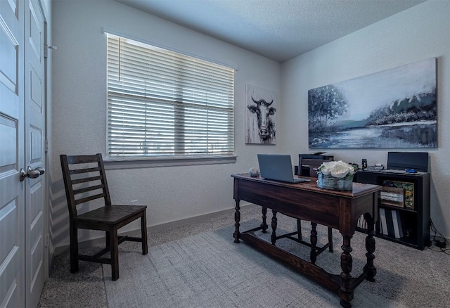 carpeted home office with a textured ceiling, baseboards, and a textured wall