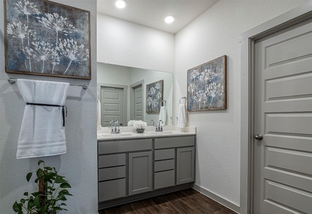 208 Greens Bayou Trl, Hutto, TX 78634 - bathroom with wood finished floors, double vanity, and recessed lighting