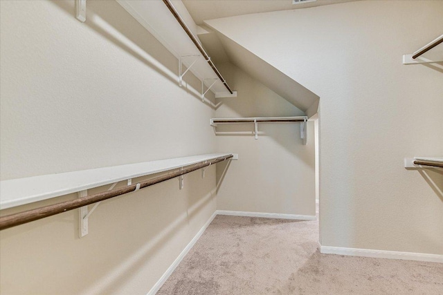 spacious closet featuring carpet flooring