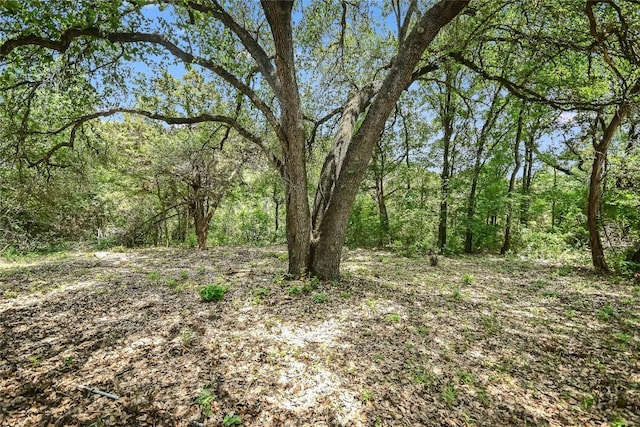 8110 Ranch Road 2222 35, Austin, TX 78730 - photo 31