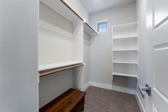 spacious closet with carpet flooring