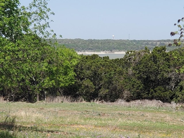 16353 Charlya Dr, Temple TX, 76502 land for sale