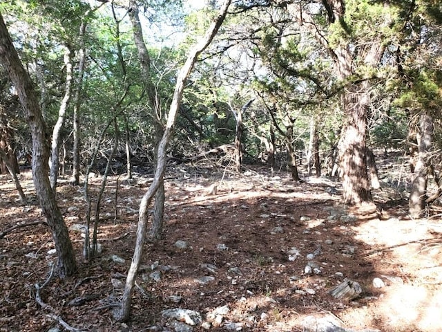 16353 Charlya Dr, Temple, TX 76502 - photo 18