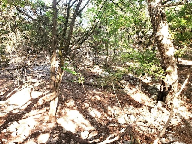 16353 Charlya Dr, Temple, TX 76502 - photo 20