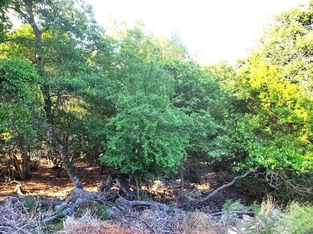 16353 Charlya Dr, Temple, TX 76502 - photo 13