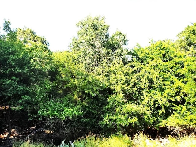 16353 Charlya Dr, Temple, TX 76502 - photo 14