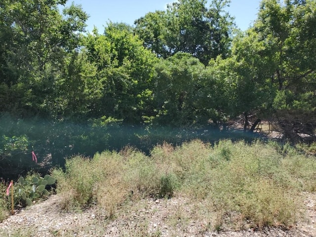 16353 Charlya Dr, Temple, TX 76502 - photo 15