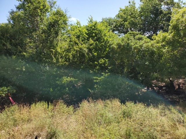 16353 Charlya Dr, Temple, TX 76502 - photo 16
