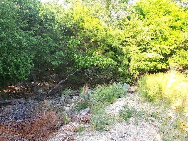 16353 Charlya Dr, Temple, TX 76502 - photo 17