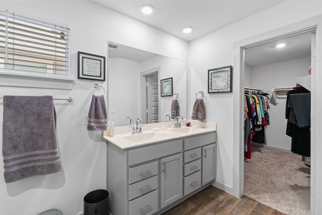 105 Krause Springs Dr, Hutto, TX 78634 - bathroom with double vanity, wood finished floors, a walk in closet, and recessed lighting