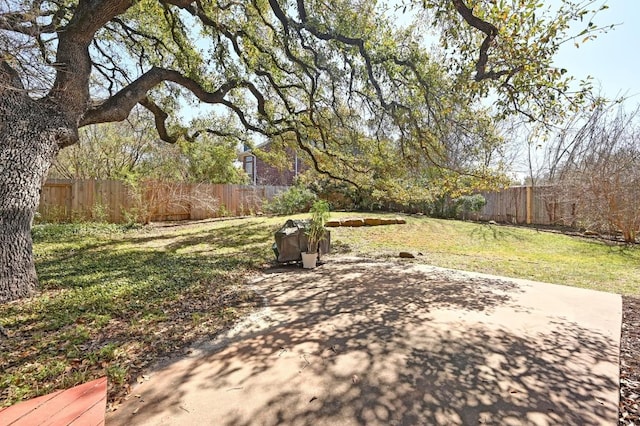 8320 Pommel Dr, Austin, TX 78759 - view of yard with a patio