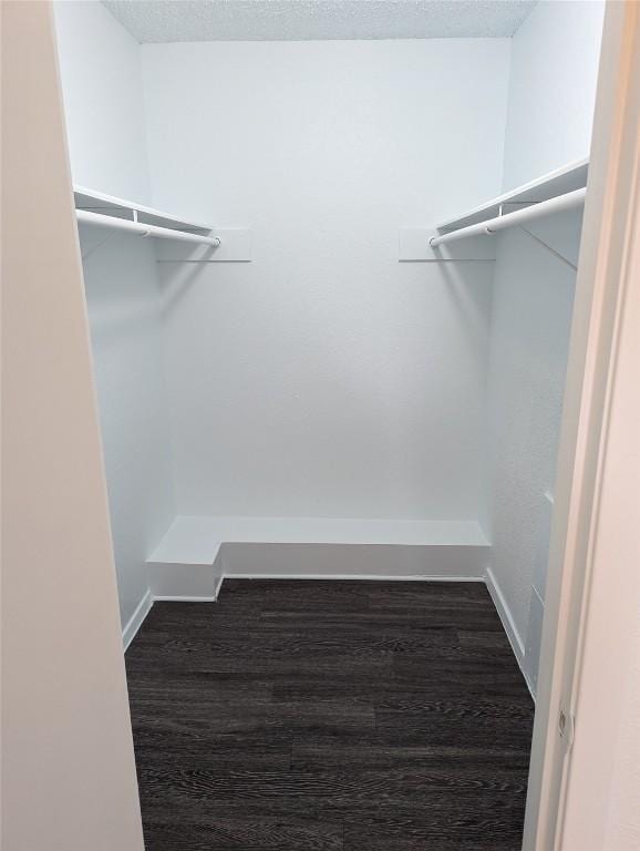 spacious closet with dark wood-type flooring