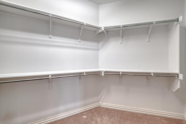 214 Apache Mountain Ln, Georgetown, TX 78633 - spacious closet featuring carpet flooring