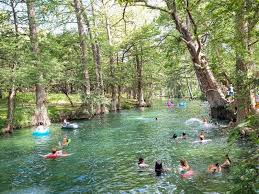 water view with a forest view