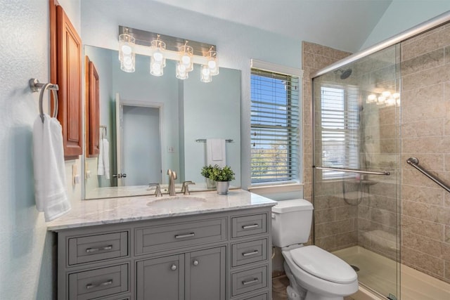 bathroom with vanity, vaulted ceiling, toilet, and a stall shower