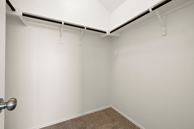 walk in closet featuring carpet