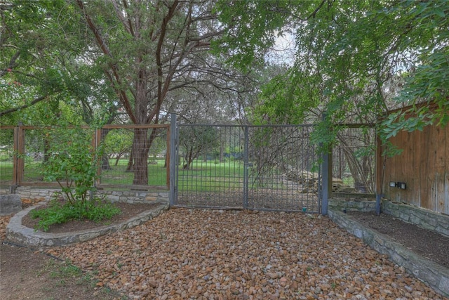 view of yard with fence and a gate