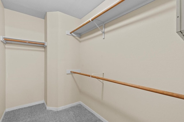 3609 Mims Cv, Austin, TX 78725 - spacious closet featuring carpet flooring