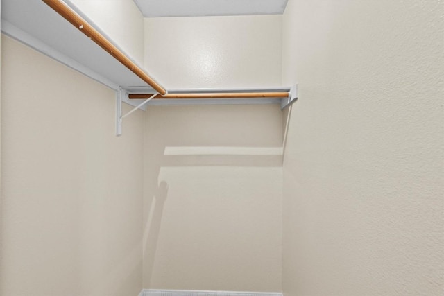 3609 Mims Cv, Austin, TX 78725 - view of walk in closet